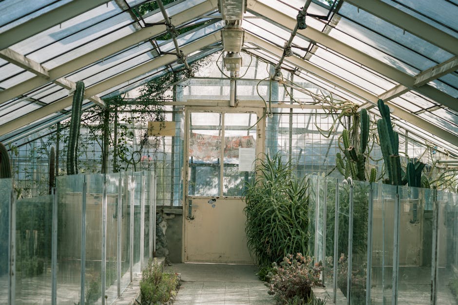 Greenhouse interior with plants growing under natural light — solar heating methods extend the growing season without electricity costs