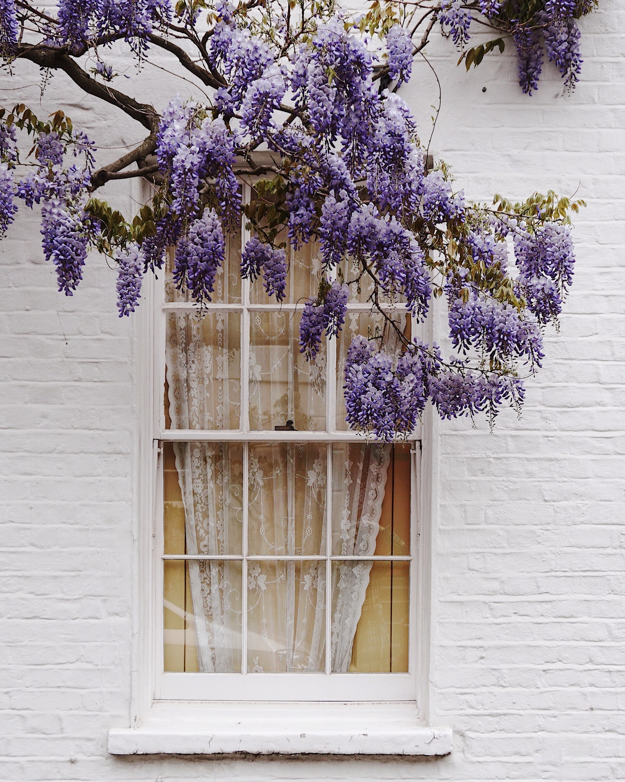 wooden window sill