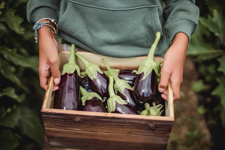 growing vegetables in kitchen garden