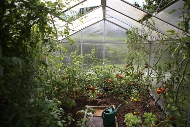 Subterranean Heating and Cooling System for Greenhouse