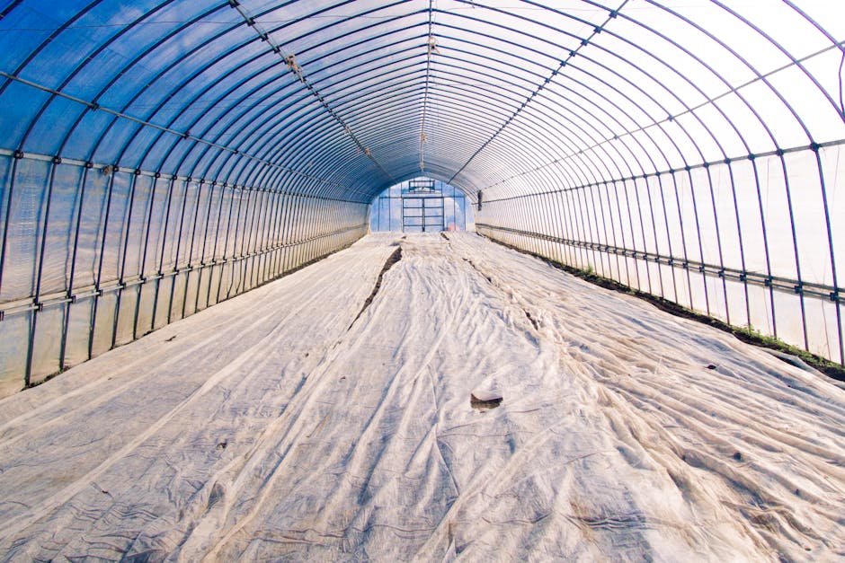 Polytunnel greenhouse structure in winter — bubble wrap insulation on the glazing dramatically reduces overnight heat loss