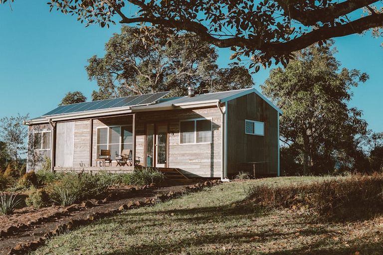Wooden house with solar panels surrounded by greenery — off-grid solar makes rural homestead living genuinely self-sufficient